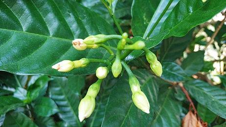 《GT赛车7》预更新内容 追加对应游戏直播音乐版权设定